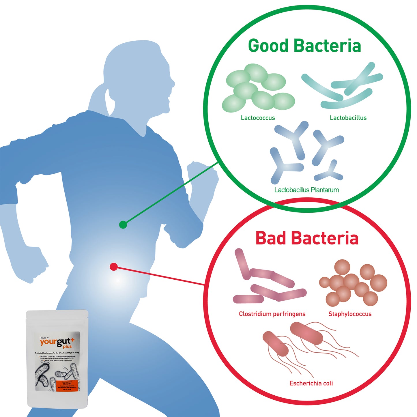 YourGutPlus 60 Kapseln (YourGut+)